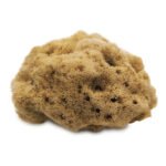 Eponge fine supérieure de Méditerranée